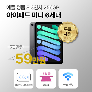 애플 아이패드 미니 6세대 64GB/256GB