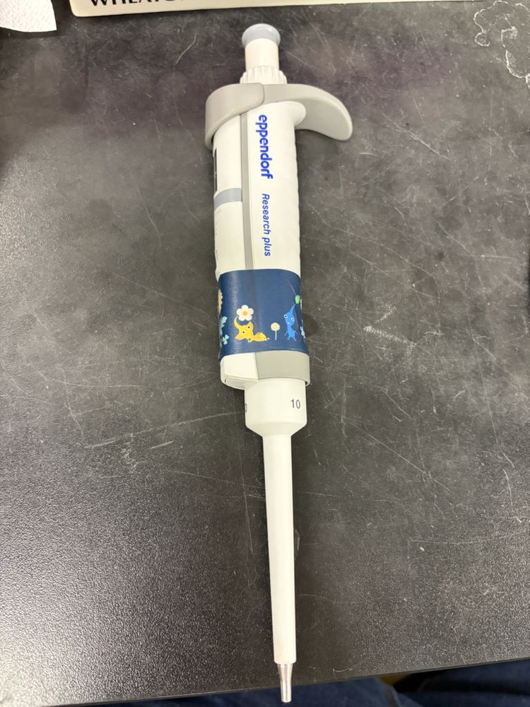 에펜도르프 마이크로피펫 판매합니다.--5