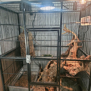 대형 새장 판매합니다