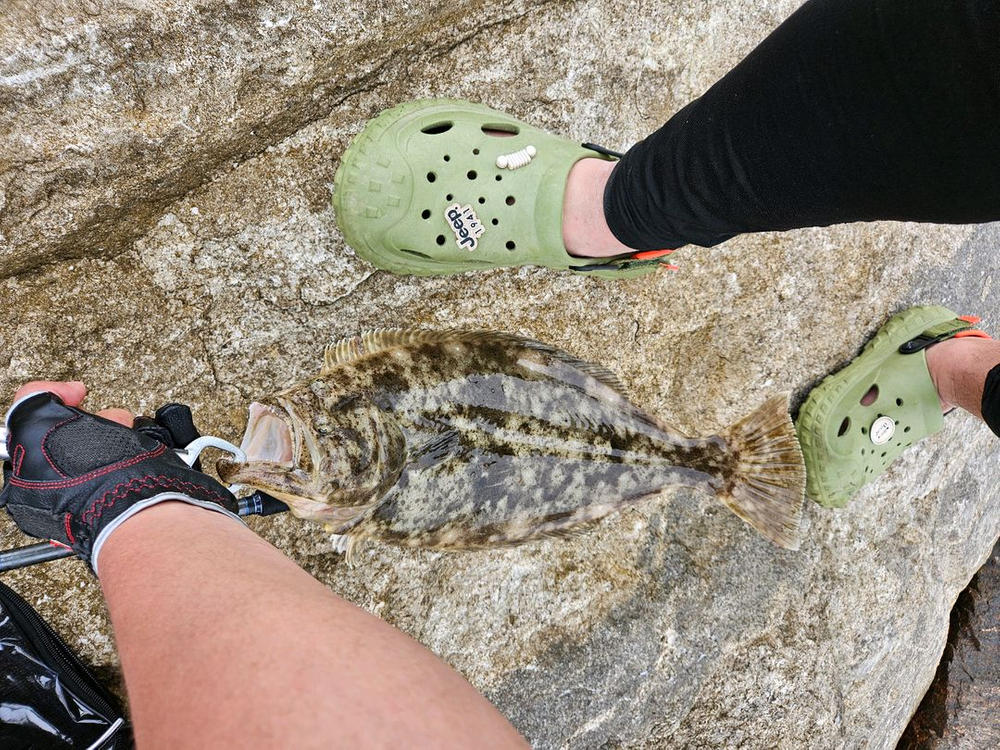 바낙스 레전드 나노 씨배스 962m 농어 루어대(22만->11만) 이미지