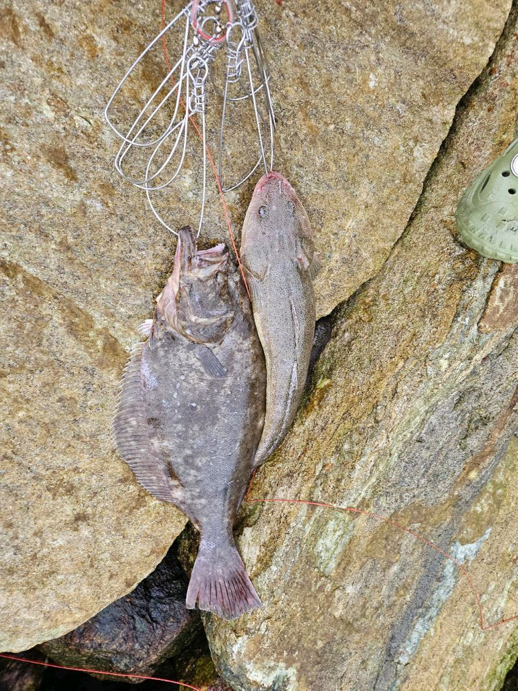 바낙스 레전드 나노 씨배스 962m 농어 루어대(22만->11만) 이미지