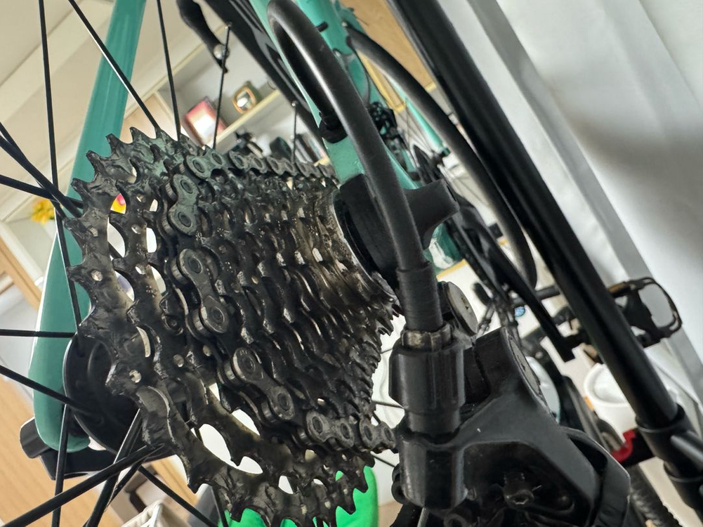 비앙키 스프린트 105--4