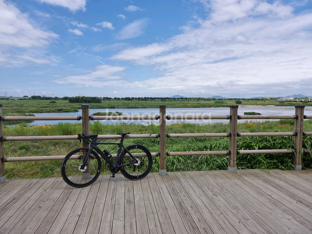 자이언트 프로펠 어드밴스 1 디스크 로드바이크--2