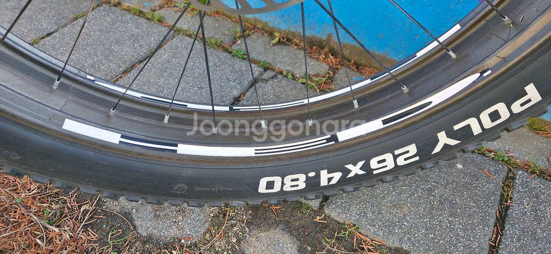 알파 카본휠 M사이즈 팻바이크 자전거--1