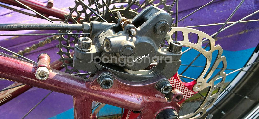 알파 카본휠 M사이즈 팻바이크 자전거--2