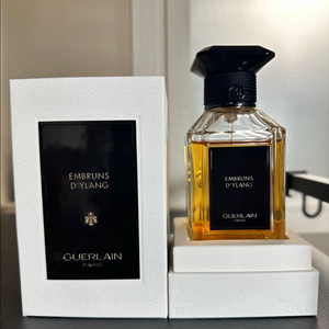 겔랑 앙브뤵스 디일랑