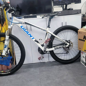 자이언트 MTB 자전거