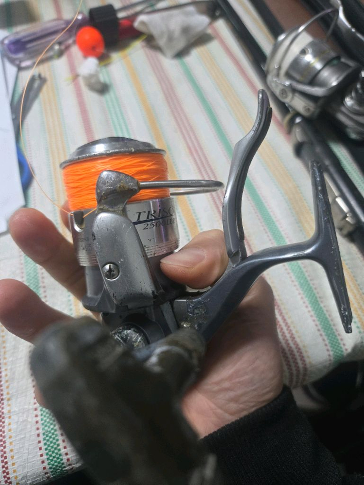 다이와 트라이소 2500 번 LBD 낚시릴 이미지