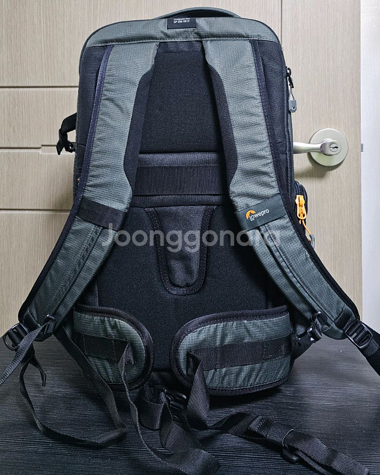 로우프로 패스트팩 프로 250 AW III 회색--1