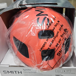 스미스 이그나이트 에어로 헬멧 매트 신더 헤이즈 L 이미지