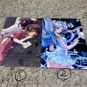 마법소녀 관련 일러스트 북 (세일러문,지브리 등)