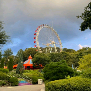 에버랜드 종일권 바로사용