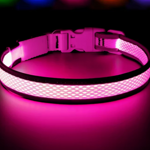 강아지 애견 LED 목줄 야간 산책용 새상품