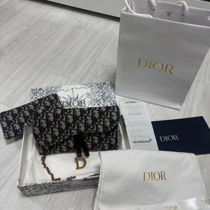 디올 오블리크 새들 체인 지갑 크로스백