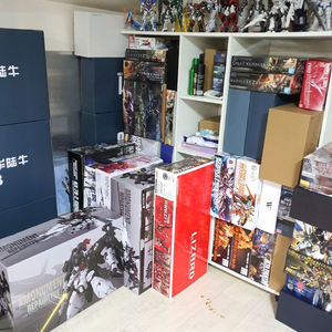 (우체국택포)미개봉.미조립.pg.mg.rg.건담.건프라.중국건담