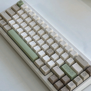 link65(링크65) 팝콘골드 전시용