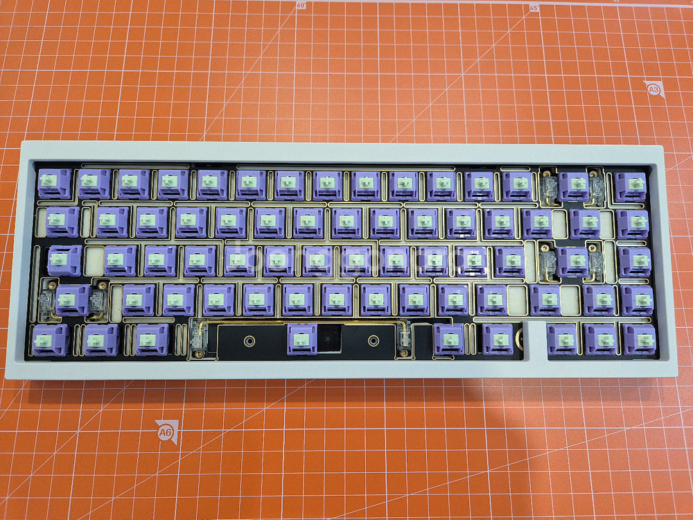 link65(링크65) 팝콘골드 전시용--2