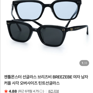 젠틀몬스터 선글라스(브리즈비 블랙) 이미지