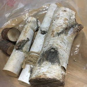 자작나무 나무 소품 기둥 세개