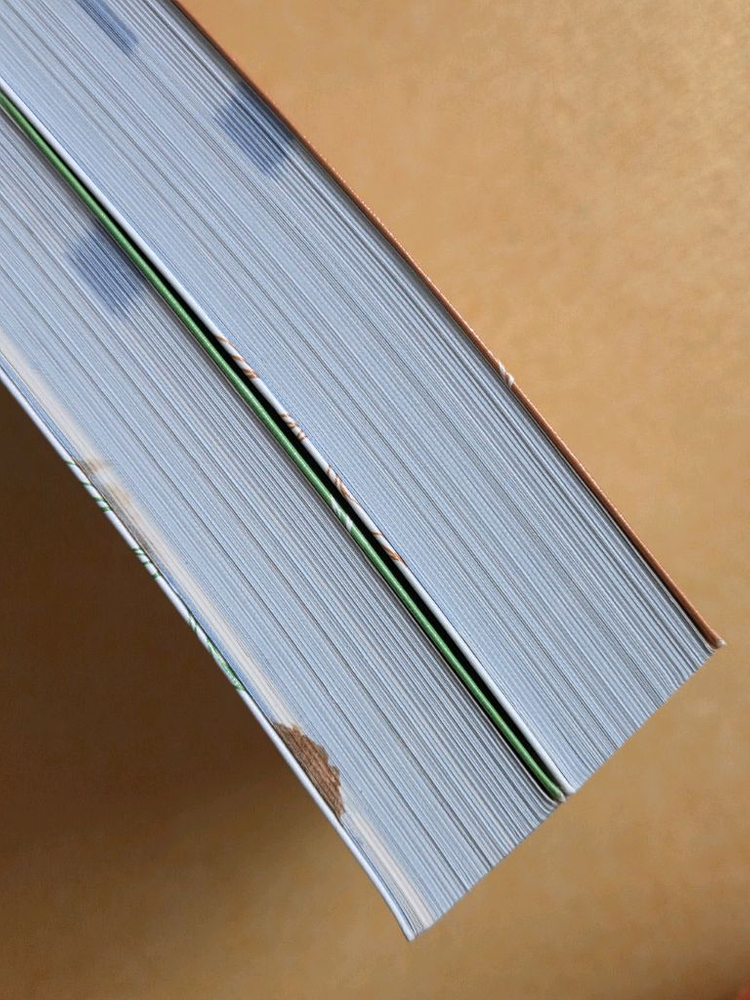 이선화 교육학 교재 상하권 세트 새제품 일괄--3