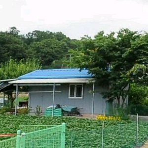 청주 36중고컨테이너/지붕판넬 250 만 이미지