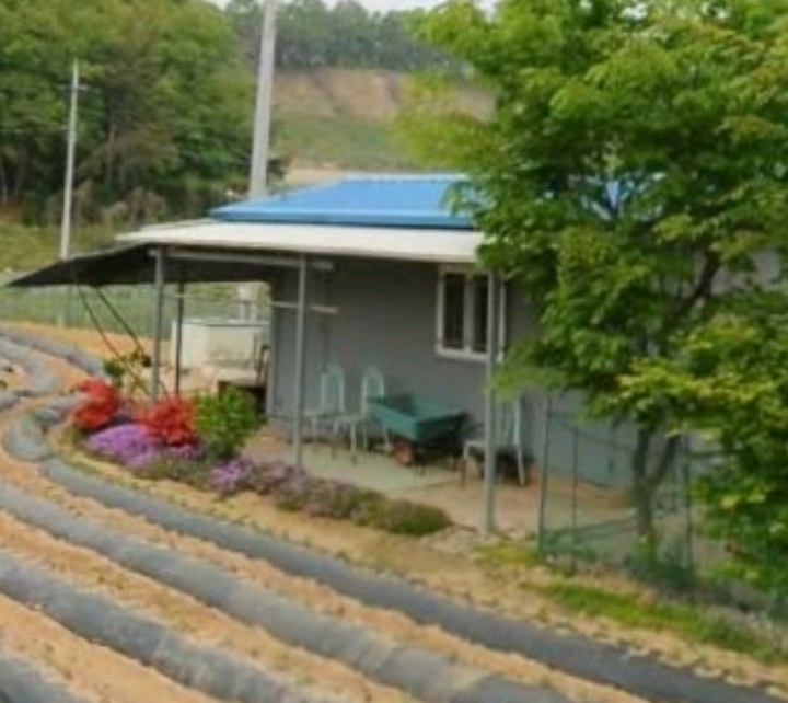 청주 36중고컨테이너/지붕판넬 250 만 이미지