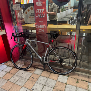 스페셜라이즈드 알레 DSW 54사이즈