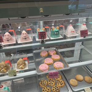 파나소닉 tz99 카메라 삽니다 이미지