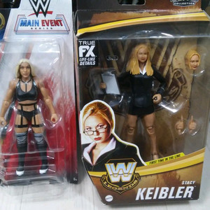 WWE 피규어 디바 스테이시 키블러,티아헤일 팝니다.