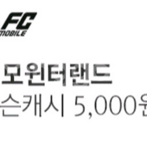 넥슨캐시 캐쉬 5천원 권 쿠폰 팝니다 ( 핀번호 )