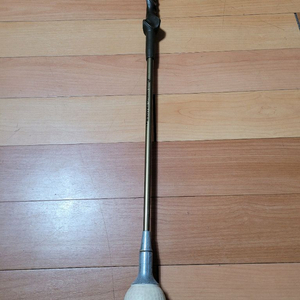 로코[ROCCO] SWING TRAINER