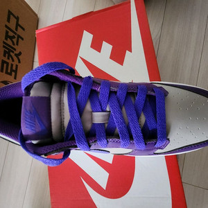 나이키 덩크로우 퍼플 새상품 사이즈260