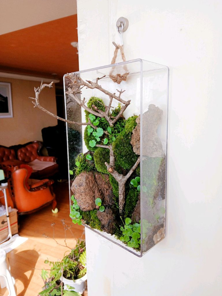 벽걸이 액자 테라리움 등등 여러가지 테라리움 정리합니다--2