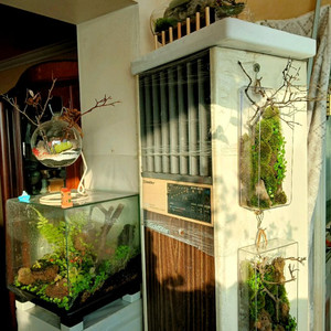 벽걸이 액자 테라리움 등등 여러가지 테라리움 정리합니다