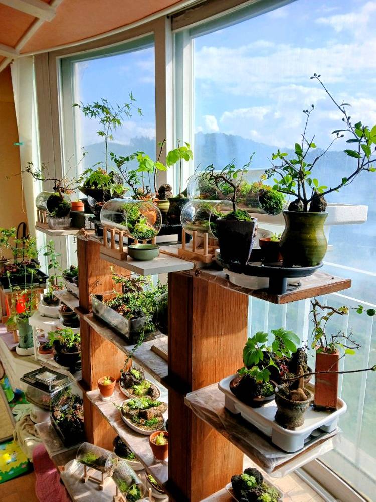 벽걸이 액자 테라리움 등등 여러가지 테라리움 정리합니다--5