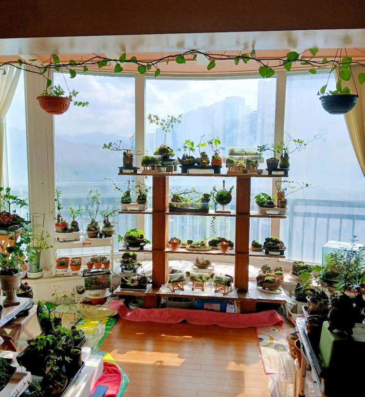 벽걸이 액자 테라리움 등등 여러가지 테라리움 정리합니다--6