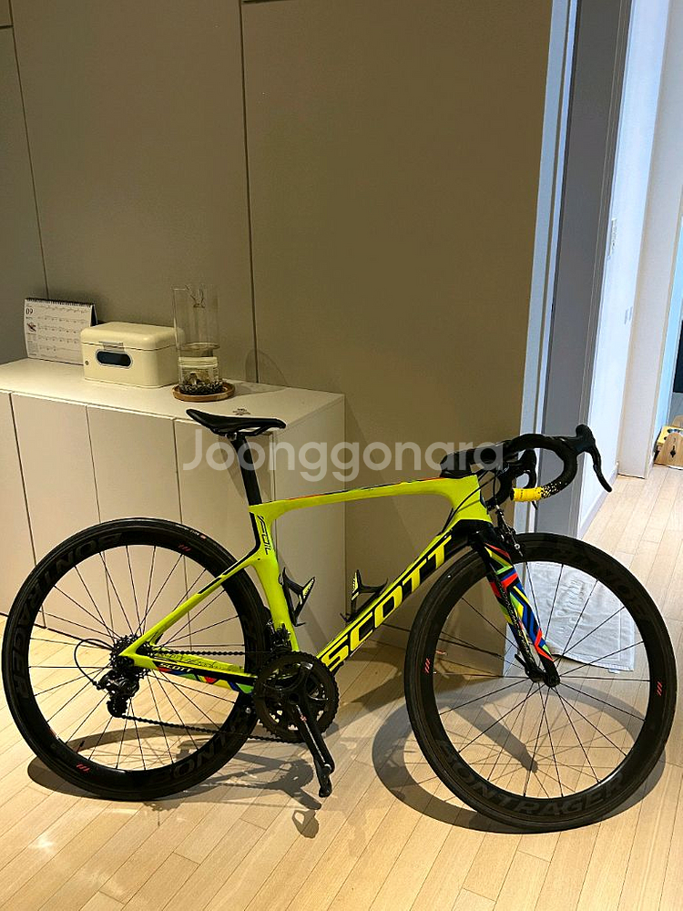 스캇 포일 리우에디션--1