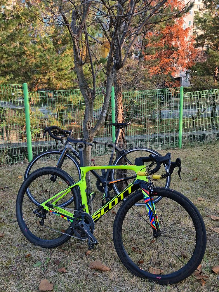 스캇 포일 리우에디션--2