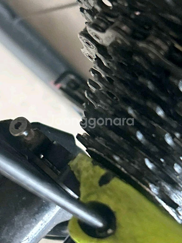 스캇 포일 리우에디션--6