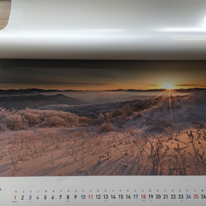 2026 농협 초대형 vip 달력