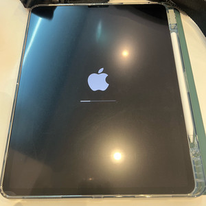 아이패드 프로 12.9 M2 6세대 256+애플펜슬