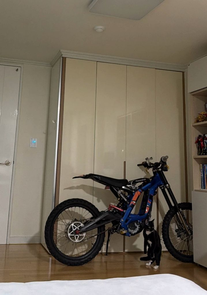 써론 라이트비 판매합니다 이미지