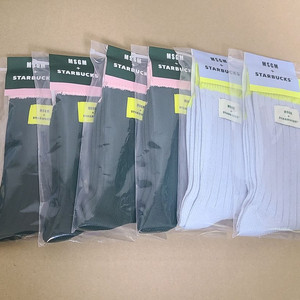 스타벅스 프리퀀시 MSGM 양말 그린 스카이블루 새상품