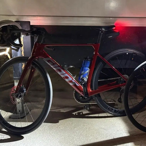 2025 자이언트 프로펠 어드밴스2 s사이즈 마스더스트