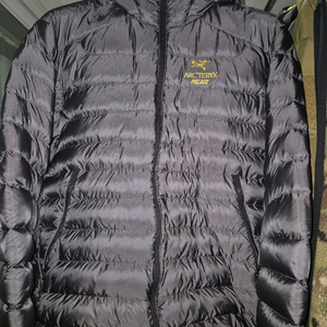 M) 아크테릭스 팔라스 세륨 lt 후디 이미지