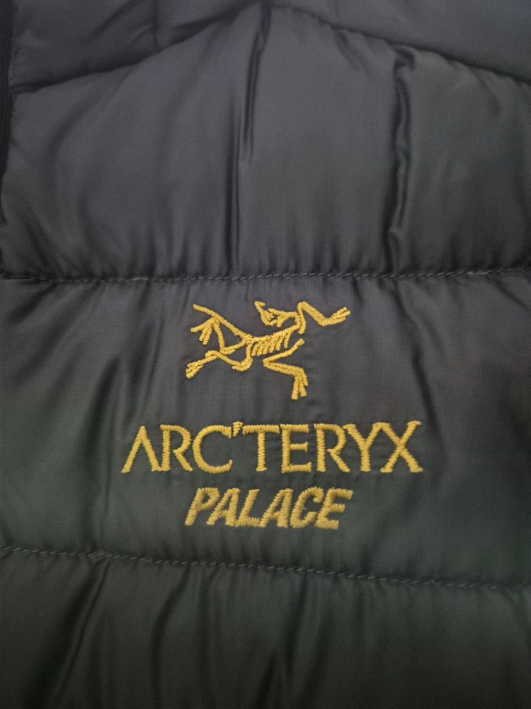 M) 아크테릭스 팔라스 세륨 lt 후디 이미지