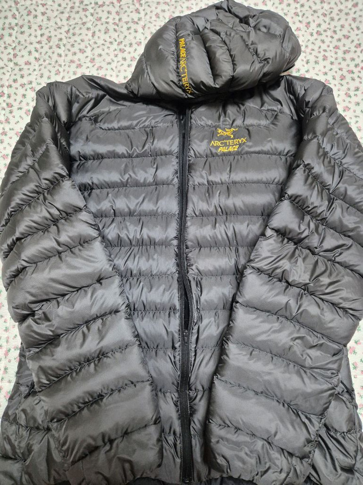 M) 아크테릭스 팔라스 세륨 lt 후디 이미지