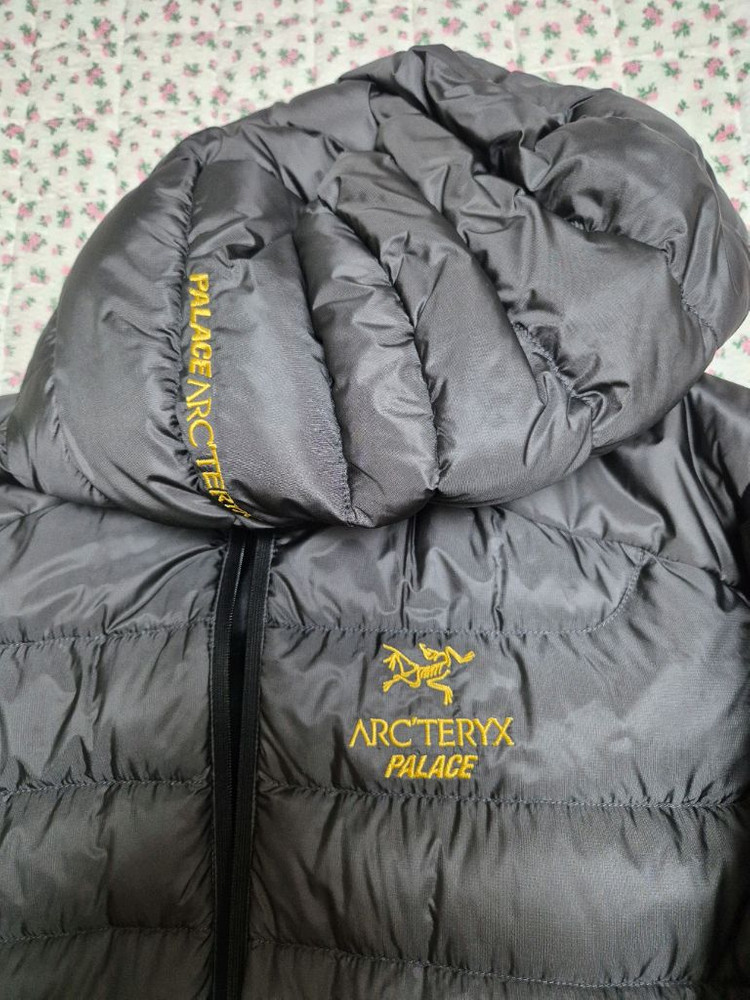 M) 아크테릭스 팔라스 세륨 lt 후디 이미지