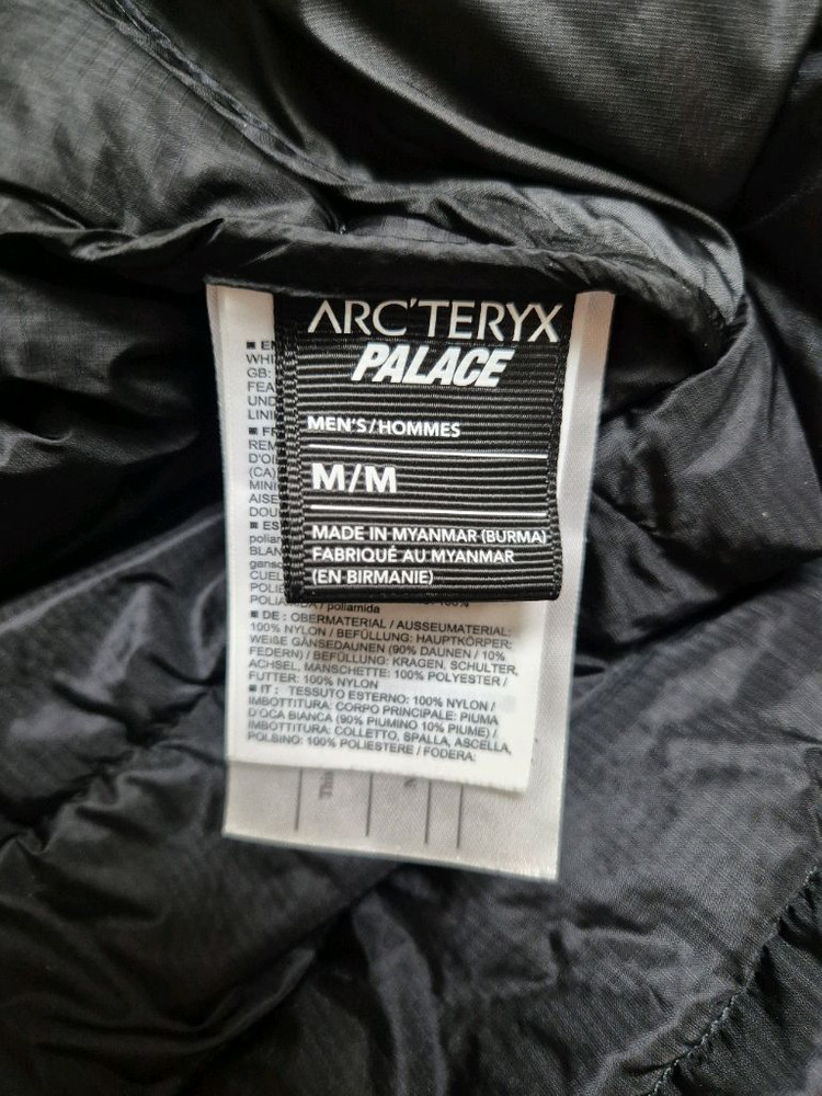 M) 아크테릭스 팔라스 세륨 lt 후디 이미지