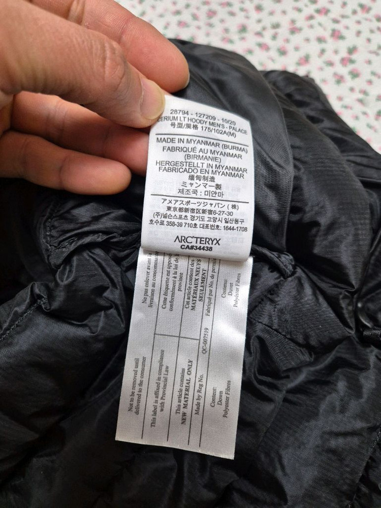 M) 아크테릭스 팔라스 세륨 lt 후디 이미지